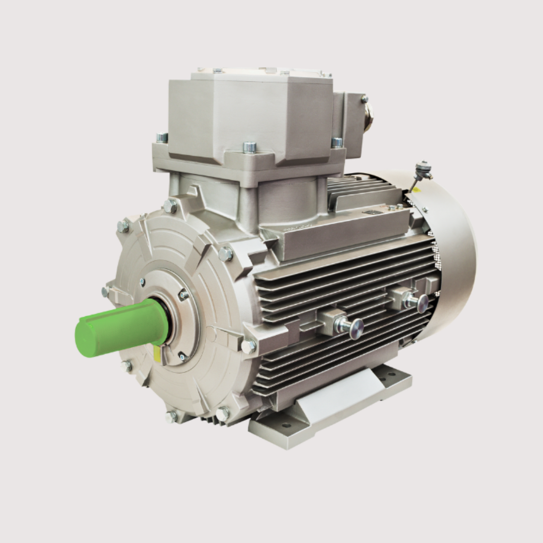 Product Range - Electric Motor